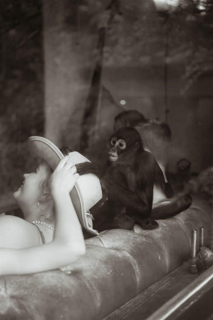Monkey at Urban Cowboy in Nashville